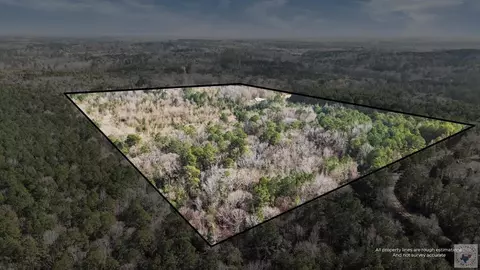 320 Cr 2114 Douglassville Tx 75560, Douglassville, TX 75560