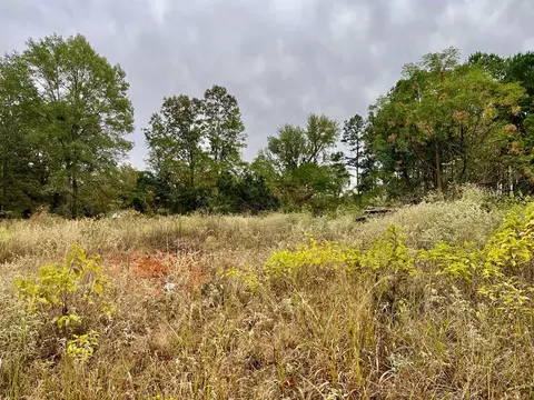 tbd Pine Wilderness Dr Queen City Tx 75572, Queen City, TX 75572