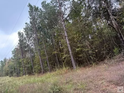 tbd Mc 35 Doddridge Ar 71834, Doddridge, AR 71834 photo 3
