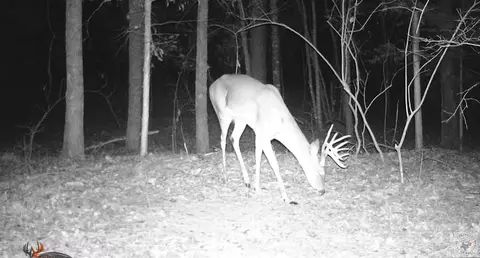 0 Cr 3216 Dekalb Tx 75559, Dekalb, TX 75559