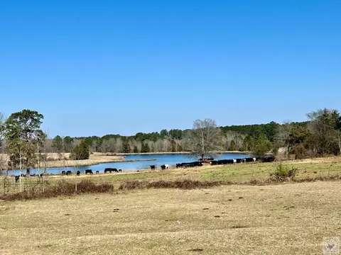 1805 Cr 3778 Queen City Tx 75572, Queen City, TX 75572