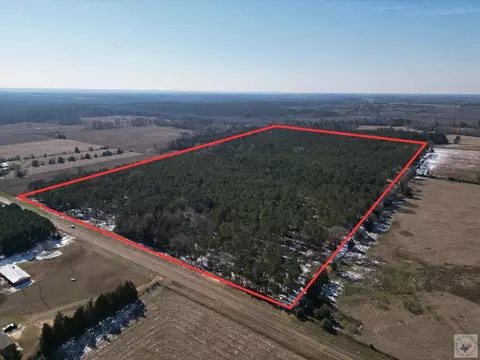 000 Fm 250 Naples Tx 75568, Naples, TX 75568