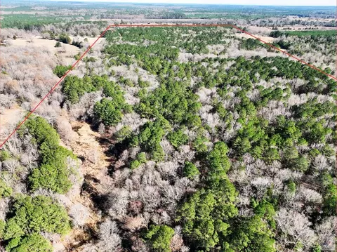 tbd County Road 1784 Jefferson Tx 75657, Jefferson, TX 75657