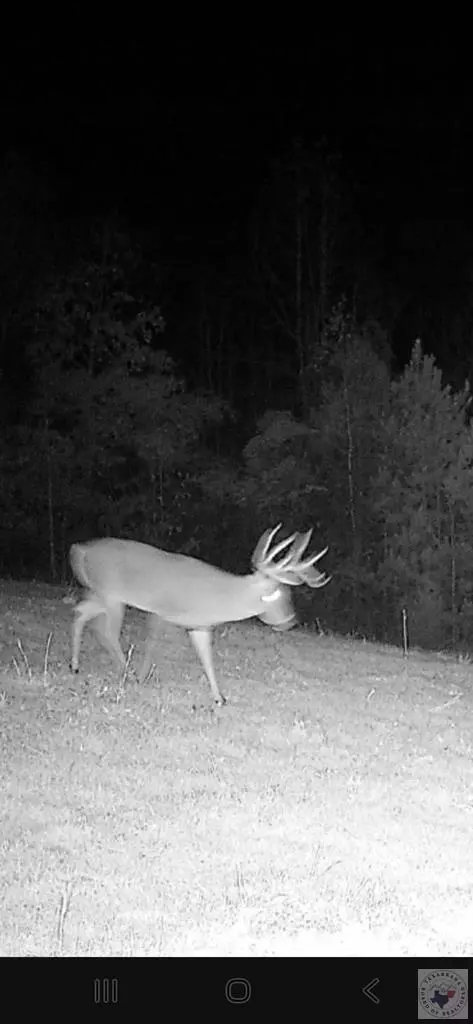 000 Mc 30 Doddridge Ar 71834, Doddridge, AR 71834 photo 11