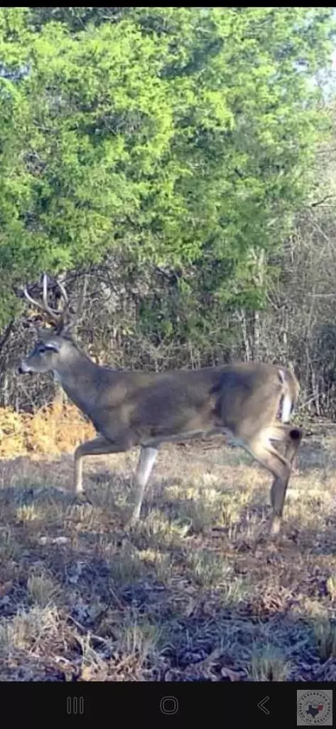 000 Mc 30 Doddridge Ar 71834, Doddridge, AR 71834 photo 5