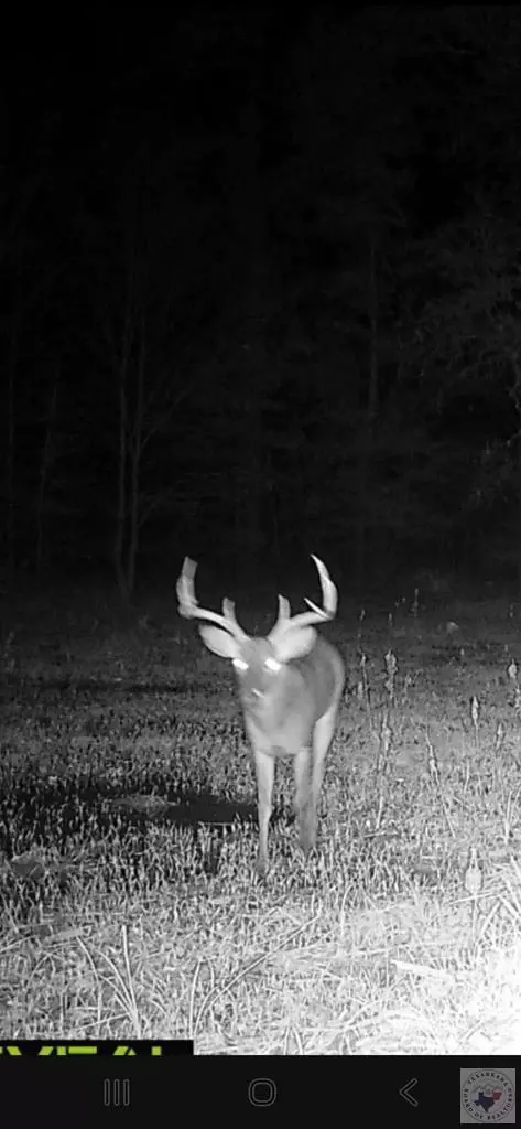 000 Mc 30 Doddridge Ar 71834, Doddridge, AR 71834 photo 9