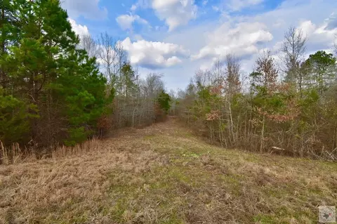 000 Mc 30 Doddridge Ar 71834, Doddridge, AR 71834 photo 15
