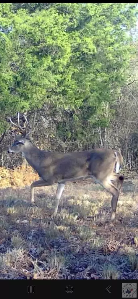 000 Mc 30 Doddridge Ar 71834, Doddridge, AR 71834