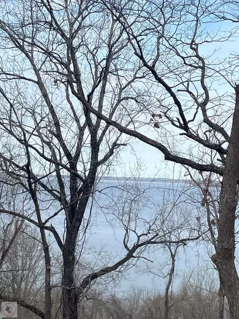 118 Lakefork Saratoga Ar 71859, Saratoga, AR 71859