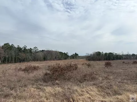 tbd Tx Hwy 8 Linden Tx 75563, Linden, TX 75563