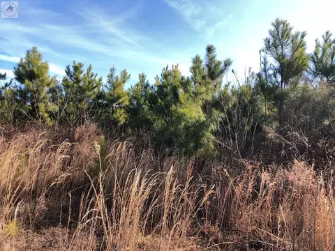 Undisclosed, Queen City, TX 75572