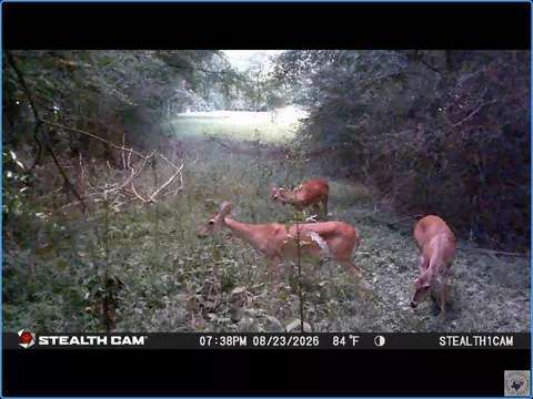 tbd Stevens Dr Marietta Tx 75566, Marietta, TX 75566