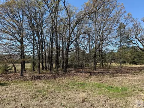 0 County Road 4310 Avery Tx 75554, Avery, TX 75554
