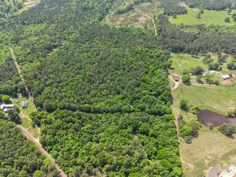tbd Cr 4451 Mcleod Tx 75555, Mcleod, TX 75555