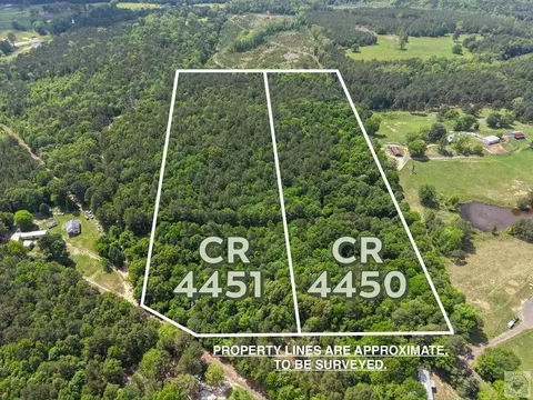 tbd Cr 4451 Mcleod Tx 75555, Mcleod, TX 75555