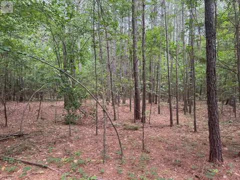 0 Cr 4151 Simms Tx 75574, Simms, TX 75574 photo 17