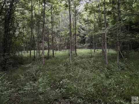 tbd County Road 2742 Marietta Tx 75566, Marietta, TX 75566