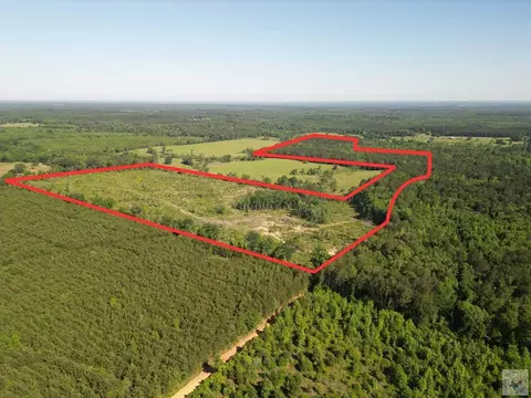tbd Cr 2729 Naples Tx 75568, Naples, TX 75568