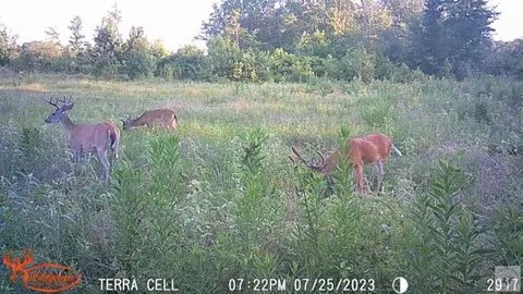 tbd Fm 1326 Dekalb Tx 75559, Dekalb, TX 75559