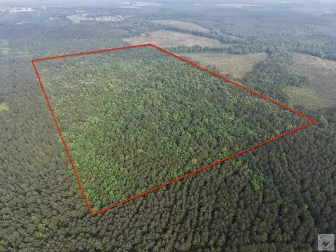 000 County Road 4123 Bivins Tx 75551, Bivins, TX 75551