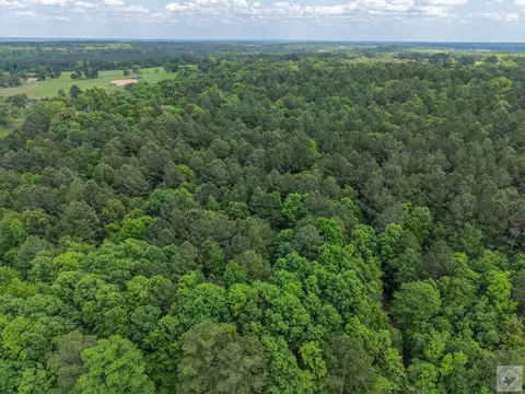 tbd Cr 3217 Atlanta Tx 75551, Atlanta, TX 75551