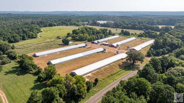 tbd Fm 130 Linden Tx 75563, Linden, TX 75563