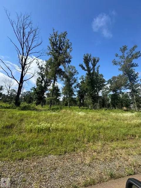 25 Akin Oak Texarkana Tx 75503, Texarkana, TX 75503