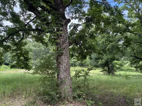 5 Acres Smith Rd Texarkana Ar 71854, Texarkana, AR 71854 photo 2