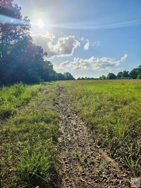 41 County Road 3212 Clarksville Tx 75426, Clarksville, TX 75426