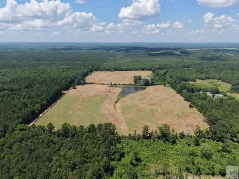 000 County Road 4810 Atlanta Tx 75551, Atlanta, TX 75551
