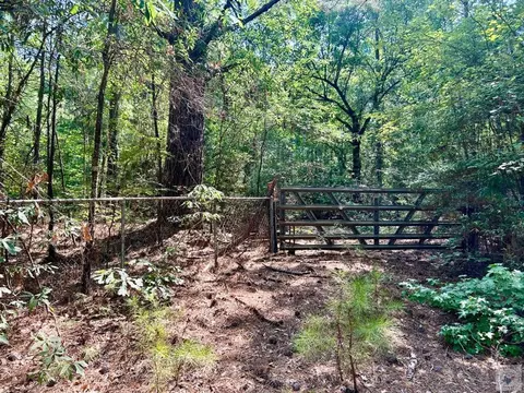 tbd Cr 4224 Atlanta Tx 75551, Atlanta, TX 75551