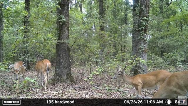 2116 Cr 4314 Dekalb Tx 75599, Dekalb, TX 75599