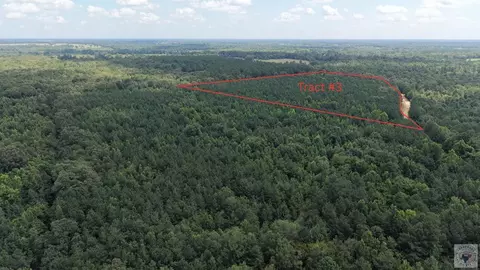 Tract 3 Cr 4320, Dekalb, TX 75559