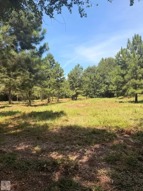 tbd County Road 3449 Atlanta Tx 75551, Atlanta, TX 75551