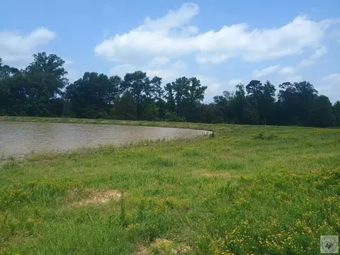 tbd Fm 990 Simms Tx 75574, Simms, TX 75574 photo 4