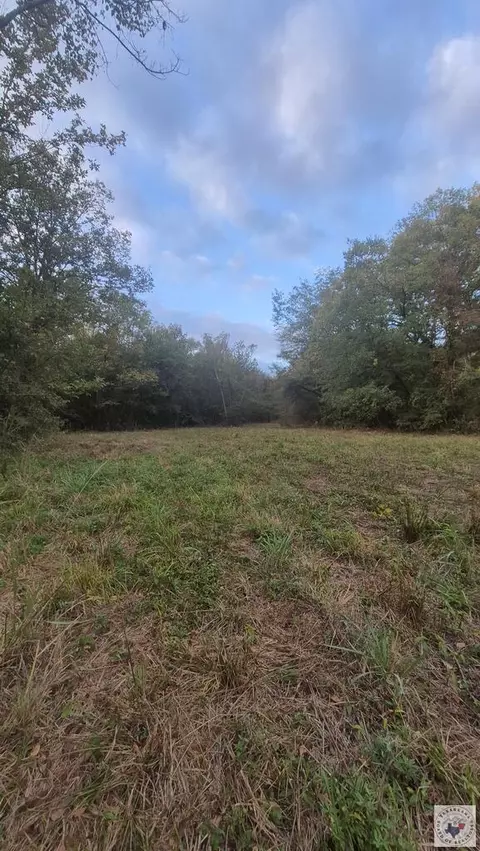 tbd Fm 561 Simms Tx 75574, Simms, TX 75574 photo 10