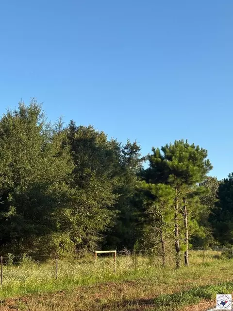 tbd Tract 8 Hwy 990 Simms Tx 75574, Simms, TX 75574