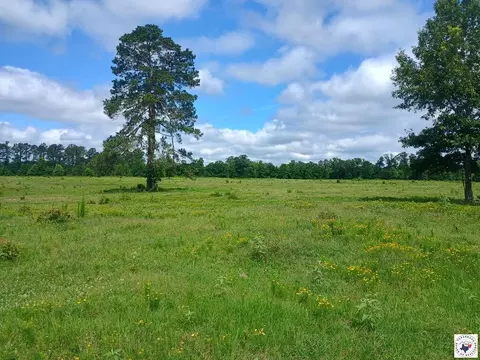 tbd Tract 9 Hwy 990 Simms Tx 75574, Simms, TX 75574