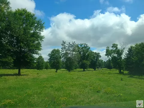 tbd Tract 18 Hwy 990 Simms Tx 75574, Simms, TX 75574