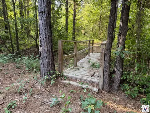 Other - 2165 Fm 561 Simms Tx 75574, Simms, TX 75574 photo 3 of 6