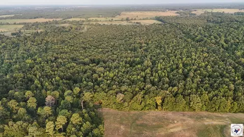 23 Little River County Road Ashdown Ar 71822, Ashdown, AR 71822 photo 2