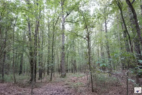 23 Little River County Road Ashdown Ar 71822, Ashdown, AR 71822 photo 18