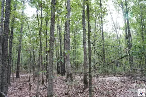 23 Little River County Road Ashdown Ar 71822, Ashdown, AR 71822 photo 13