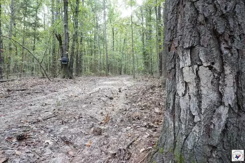 23 Little River County Road Ashdown Ar 71822, Ashdown, AR 71822 photo 11