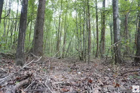 23 Little River County Road Ashdown Ar 71822, Ashdown, AR 71822 photo 26