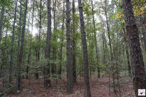 23 Little River County Road Ashdown Ar 71822, Ashdown, AR 71822 photo 7