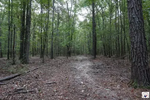 23 Little River County Road Ashdown Ar 71822, Ashdown, AR 71822 photo 9