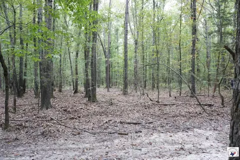 23 Little River County Road Ashdown Ar 71822, Ashdown, AR 71822 photo 14