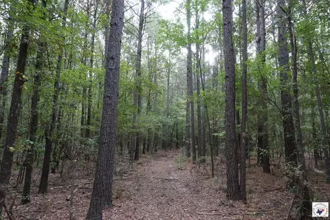 23 Little River County Road Ashdown Ar 71822, Ashdown, AR 71822 photo 5