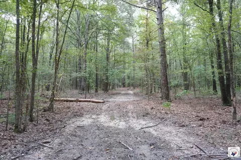 23 Little River County Road Ashdown Ar 71822, Ashdown, AR 71822 photo 16
